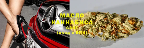 гидра Володарск