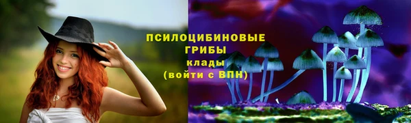 гидра Володарск