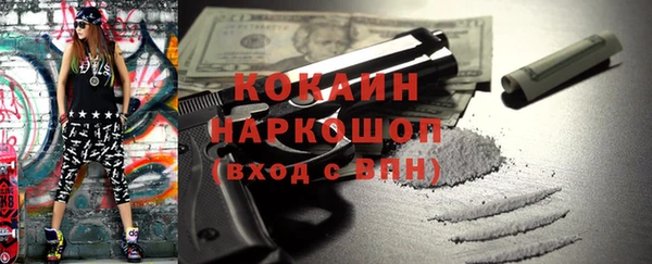 гидра Володарск