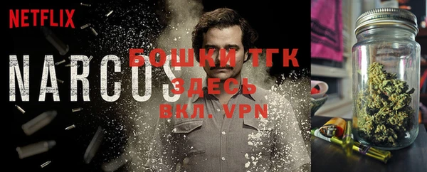 гидра Володарск