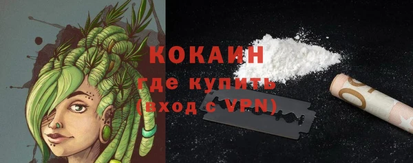 гидра Володарск
