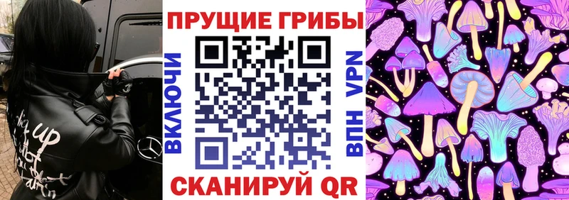 mega как войти  Сретенск  Псилоцибиновые грибы ЛСД 